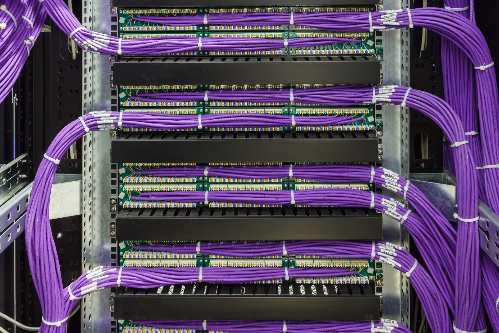 A bunch of purple and yellow wires are connected to the back of a rack.